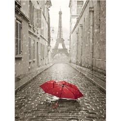 Картина по номерам 40х50 - Красный зонт