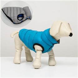 Куртка для собак двухсторонняя с воротником, ДС 24, ОШ 24, ОГ 40,  голубая/серая