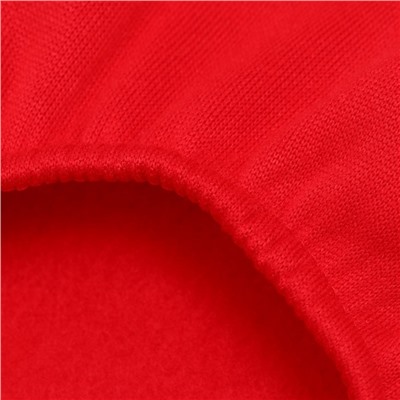 Новогодний костюм "Снегурочка" для собак, размер XS, красный (ДС 18, ОШ 22, ОГ 30 см)