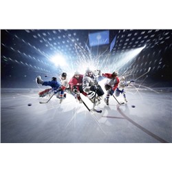 3D Фотообои «Хоккей»