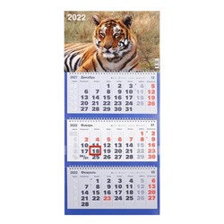 Календарь квартальный, трио "Символ года - 19" 2022 год, 31 х 69 см