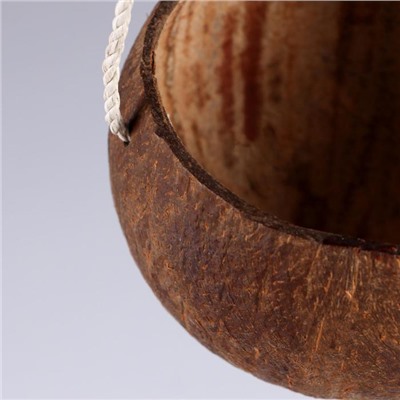 Кашпо «Кокос», на веревке, D12H7см. , кокос, дерево  01-078