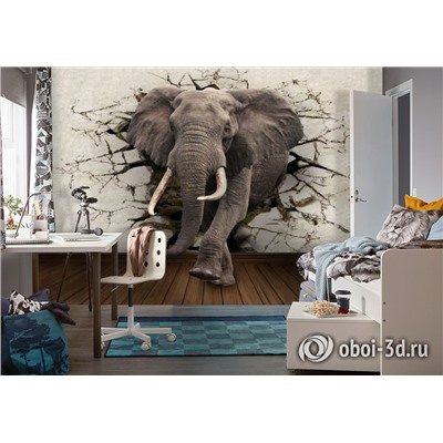 3D Фотообои  «Слон сквозь стену»