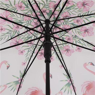 Зонт - трость полуавтоматический «Tropical», 8 спиц, R = 50 см, цвет МИКС