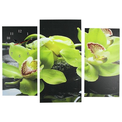 Часы настенные модульные «Зелёные орхидеи на камнях», 60 × 80 см