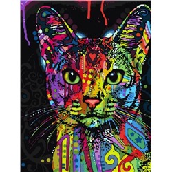Картина по номерам 40х50 - Радужный котик