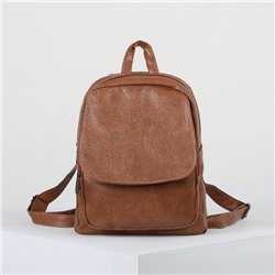 Рюкзак, отдел на молнии, наружный карман, цвет коричневый
