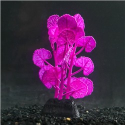 Растение силиконовое аквариумное, светящееся в темноте, 7 х 11 см, фиолетовое