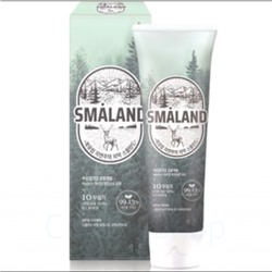 Dental Clinic2080 SMALAND Зубная паста Forest Fresh Mint,100 гр