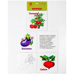 ТМ Ракета  Карточки для развития ребенка (двухсторонние) Р2125 Овощи