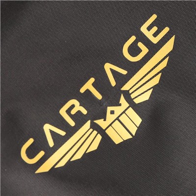 Термосумка Cartage Т-06, черная, 10 литров, 26х19х19 см