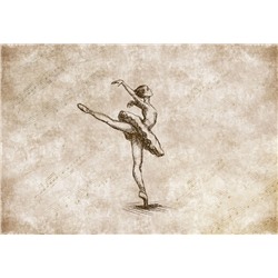 3D Фотообои «Мелодия балета»