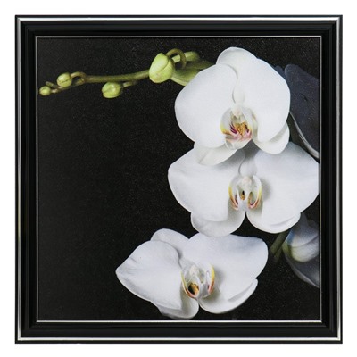 Картина "Ветка орхидеи" 25х25(28х28) см