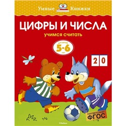 Цифры и числа (5-6 лет). Земцова О. Н.