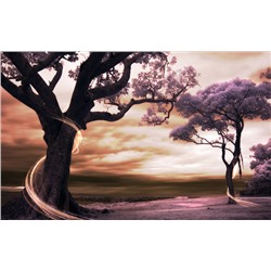 3D Фотообои «Фиолетовые деревья»