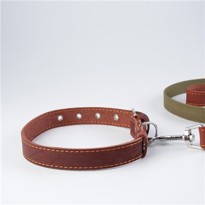 Комплект : ошейник (45-60х2.5 см) кожаный и поводок (150х2.5 см) брезентовый, цвет коньячный