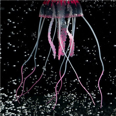 Декор для аквариума "Медуза" силиконовая, с неоновым эффектом, 5 х 5 х 15 см, розовая