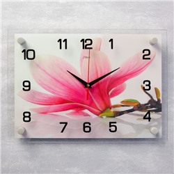 Часы настенные, серия: Цветы, "Магнолия", 25х35  см, микс