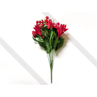 тюльпаны-лилии TULP_LIL-18-62-4-L