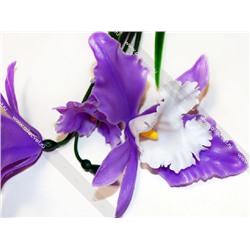 орхидеи ORH-3-44-15-M