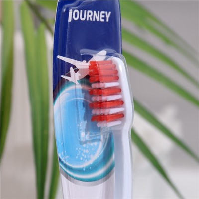 Зубная щётка Rendall Journey, средней жёсткости, складная, микс, 1 шт.