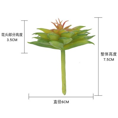 Растения "Суккуленты" MW17671, минимальный заказ 3 шт