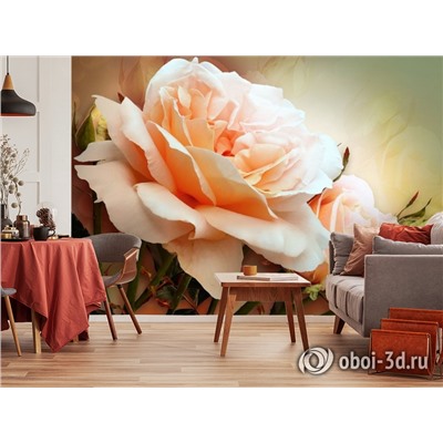 3D Фотообои  «Персиковая роза»