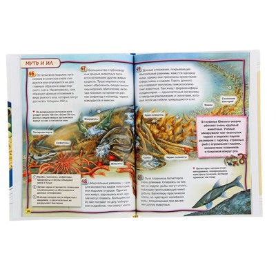 Энциклопедия для детей «Подводный мир»
