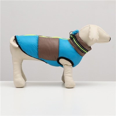 Куртка для собак с ошейник, размер 10 (ДС 25 см, ОГ 34 см, ОШ 24 см), серо-голубая