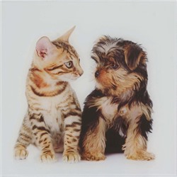 Картина на стекле "Собачка и котик"  30*30см