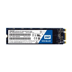 SSD накопитель WD Blue 250Gb (WDS250G2B0B) SATA-III