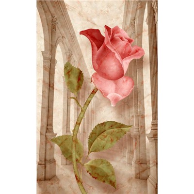 3D Фотообои «Мраморная роза»