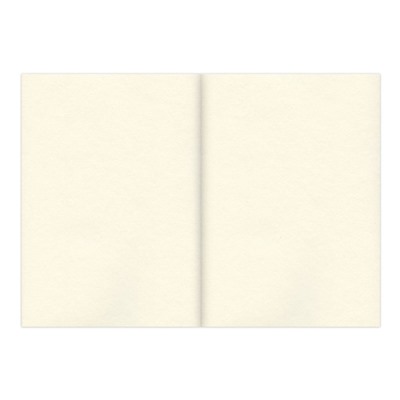 Альбом для эскизов А5, 32 листа, BRAUBERG, на склейке, кремовая бумага, 150 г/м2