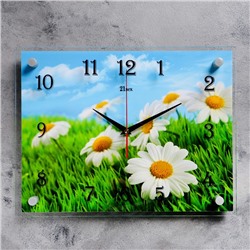 Часы настенные, серия: Цветы, "Ромашки" 30х40  см, микс