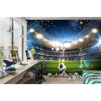 3D Фотообои «Стадион в Бразилии»