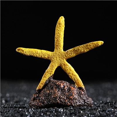 Морская звезда на подставке, 7,5 х 3,5 х 8 см, желтая