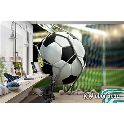 3D Фотообои «Футбольный мяч в сетке»