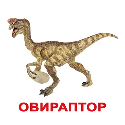Комплект карточек “Динозавры”