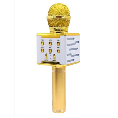 Беспроводной караоке микрофон DS868 (золото)