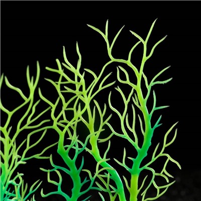 Растение искусственное аквариумное, светящееся, 20 см, зелёное