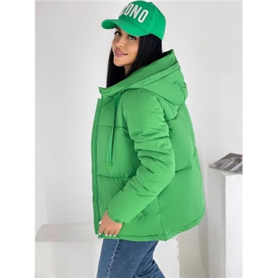Куртка с капюшоном 2025 зеленая DIM