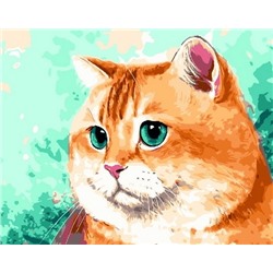 Картина по номерам 40х50 - Пухлый кот