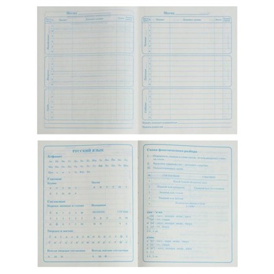 Дневник для 1-4 классов "Футбол", твёрдая обложка, глянцевая ламинация, 48 листов