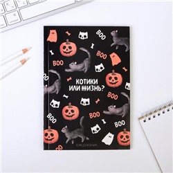 Ежедневник в тонкой обложке «Котики или жизнь» А5, 80 листов
