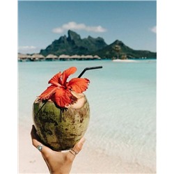 Картина по номерам 40х50 - Райский кокос