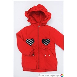 Куртка детская с цветными сердечками и капюшоном арт. 392010