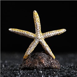 Морская звезда на подставке, 7,5 х 3,5 х 8 см, желтая