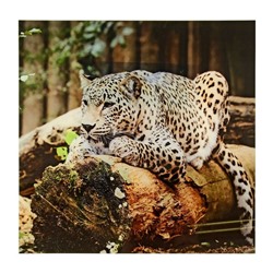 Картина на стекле "Леопард"   30*30см