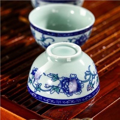 Набор для чайной церемонии «Синий цветок», 5 предметов: чайник 200 мл, чашка 30 мл