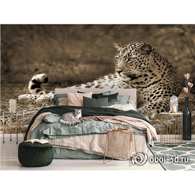 3D Фотообои «Леопард сепия»